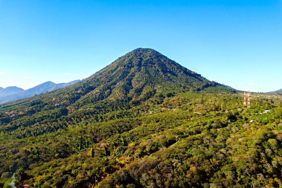 An aerial view of a coffee forest plantation in Los Naranjos, Sonsonate, El Salvador.
